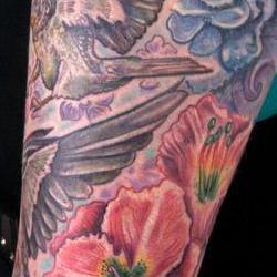 Tattoos - Barn swallow family detail - 73516